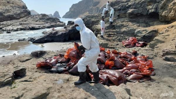 Traditio<em></em>nal fishermen in despair over Peru oil spill