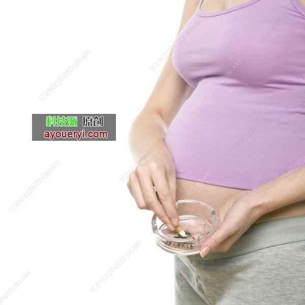 代妈，捐卵怀孕