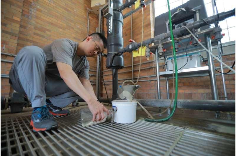 UToledo first in US to test advanced, real-time algae sensor at water treatment plant