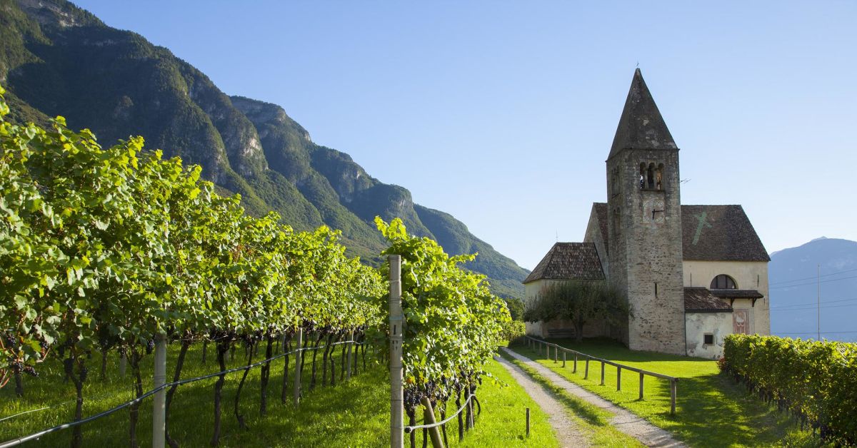 #TotA Day 1 – Neumarkt and the Wine Route open the 47th edition