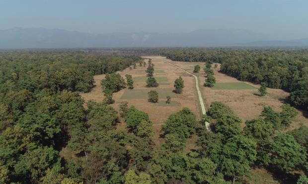 Aerial view of the landscape in Bardiya. 