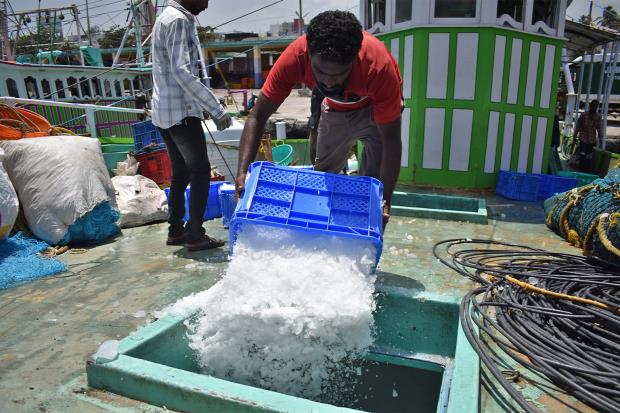 A worker fills ice in a mechanized boat at Chinnamuttom harbour in Kanyakumari as the vessel prepares for a fishing expedition. 