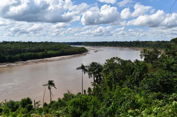 The Madre de Dios River observed from the Harakbut Indigenous community in the Amarakaeri Communal Reserve buffer zone. 