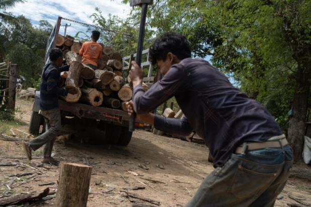 Middlemen load up a truck with timber from the Cardamoms to supply the Cambodian garment sector's rising demand for fuel. Credit: Andy Ball/Mongabay.