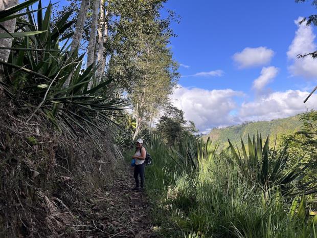 The landscape is a patchwork of pasture, forest, crops and cattle on the walking path between the small towns of Santa Rosa and Plaza Gutierrez in Intag Valley, Ecuador. Photo by Liz Kimbrough.