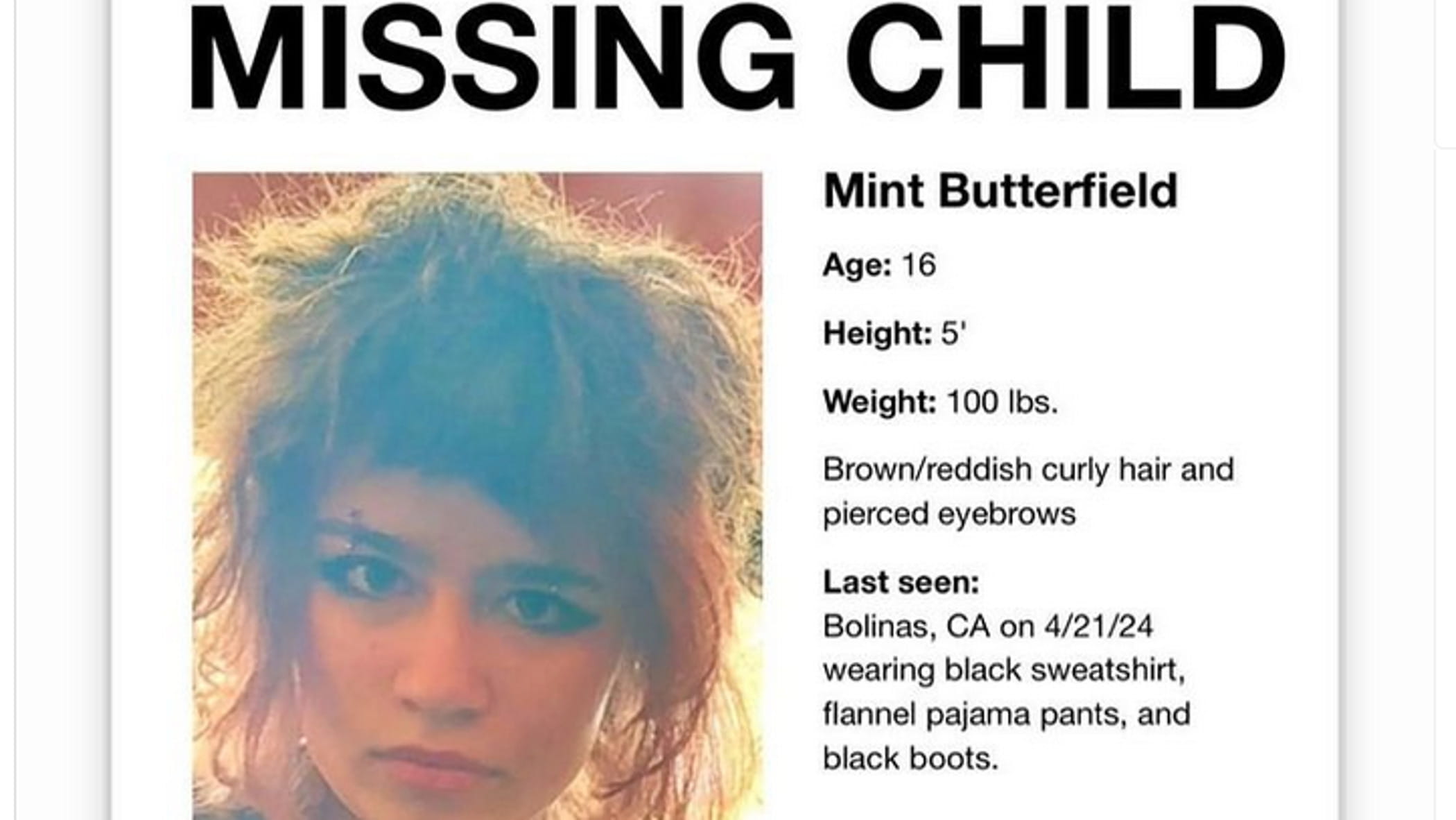 California, the sixteen-year-old daughter of two Silicon Valley big names has disappeared